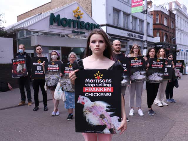 <p>Protests have been held at more than a dozen Morrisons stores amid allegations the supermarket chain sells “Frankenchickens”</p>