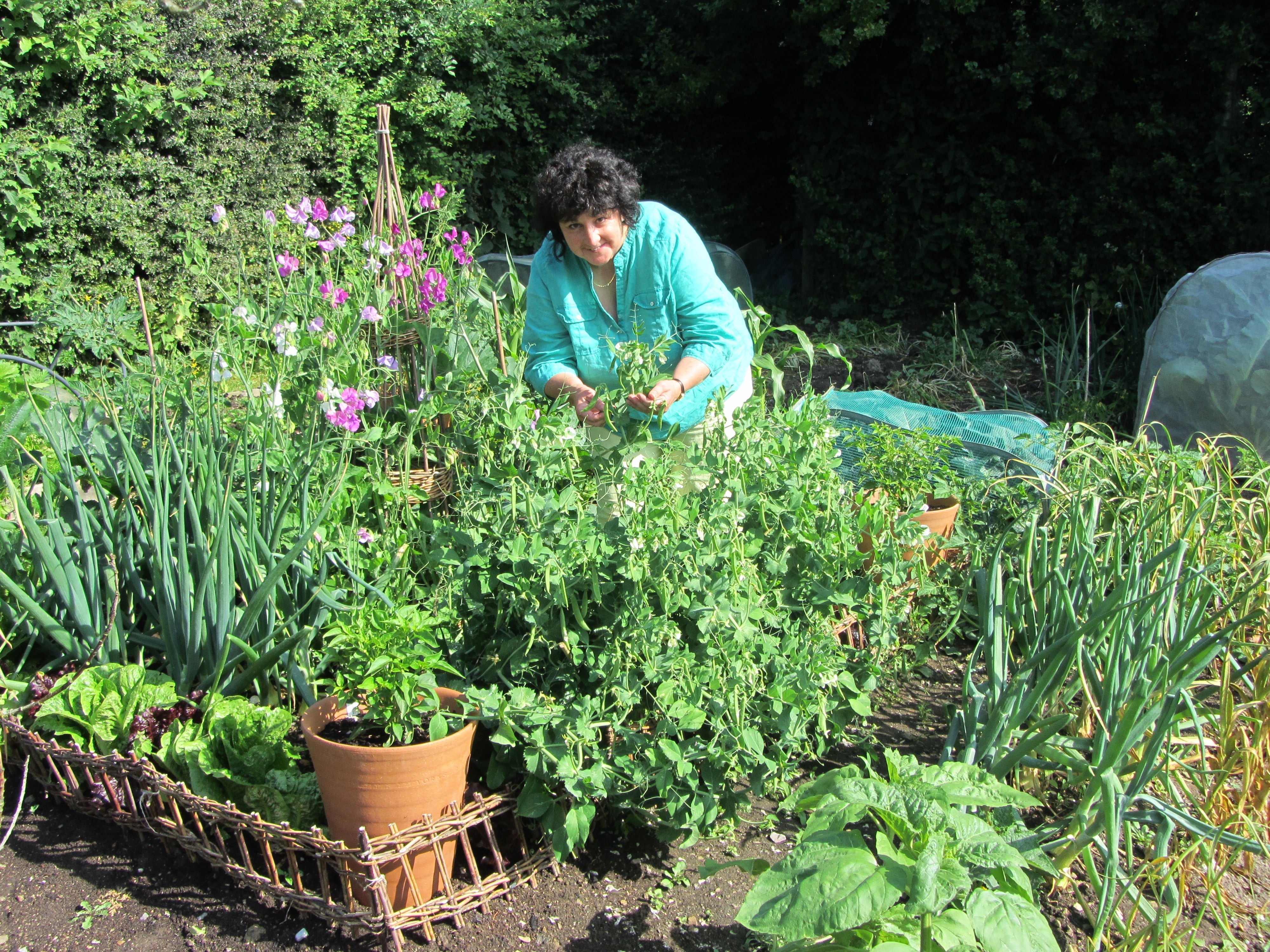 Garden expert and broadcaster Pippa Greenwood on her allotment (Pippa Greenwood/PA)