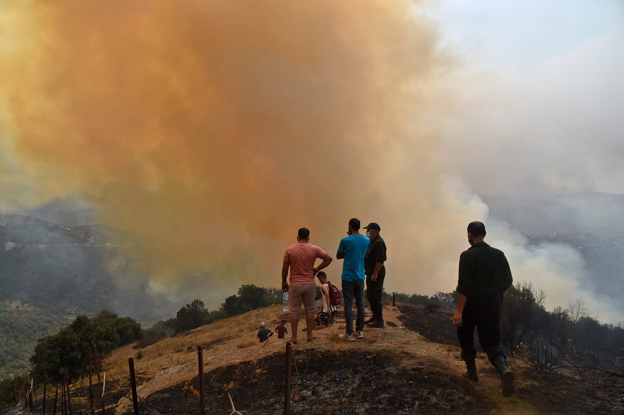 Wildfires have ravaged the Kabyle of Algeria
