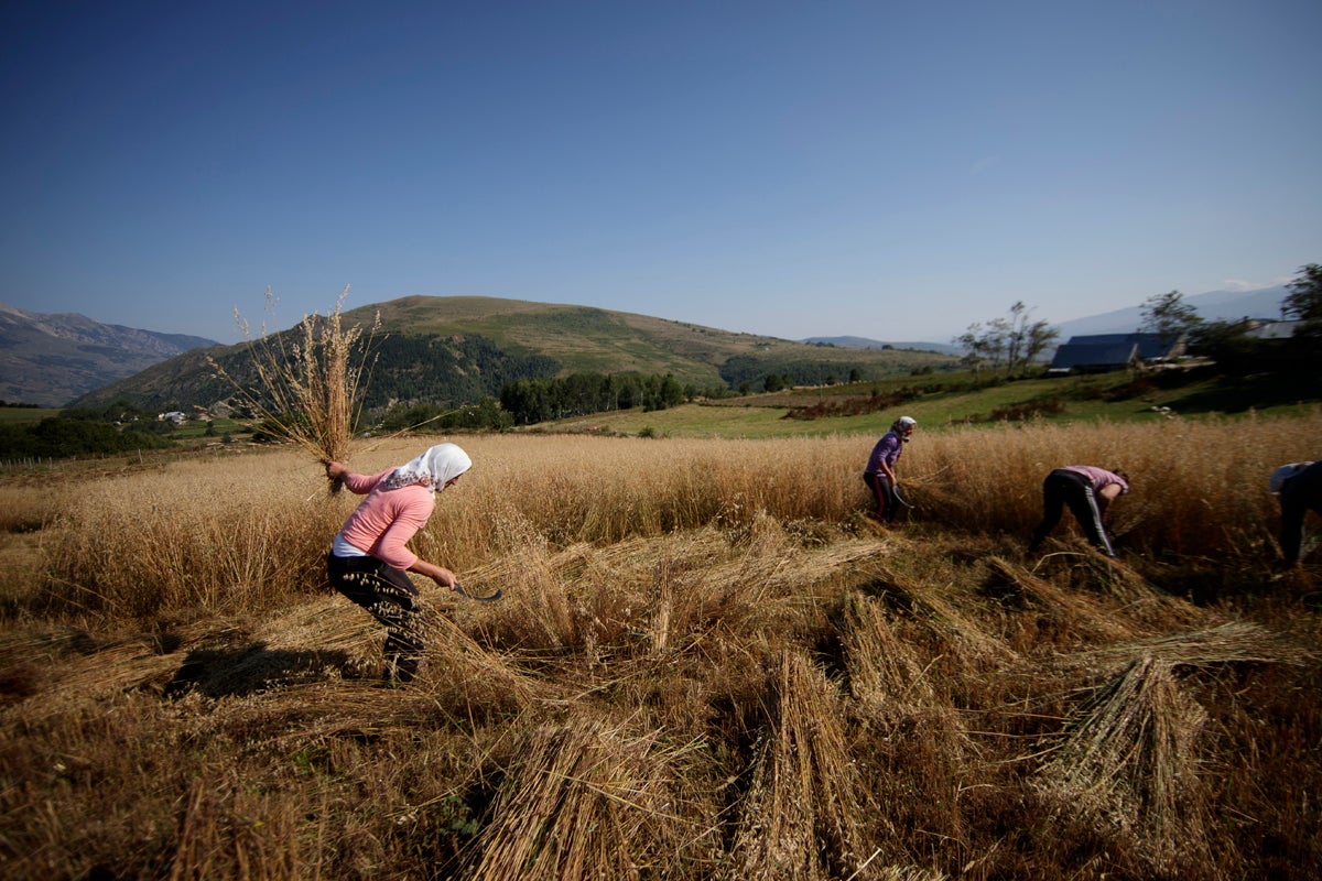 Albanian women still struggle with patriarchal attitudes, especially in rural areas