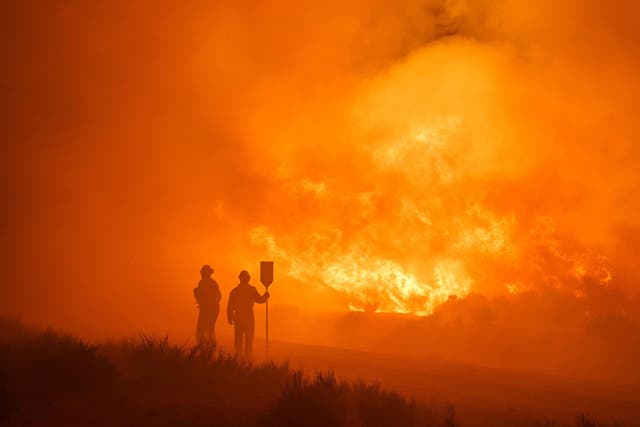 <p>The intense heat and arid conditions sparked massive wildfires in the eastern and central Mediterranean</p>