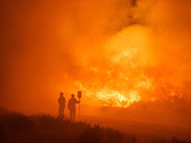 <p>The intense heat and arid conditions sparked massive wildfires in the eastern and central Mediterranean</p>
