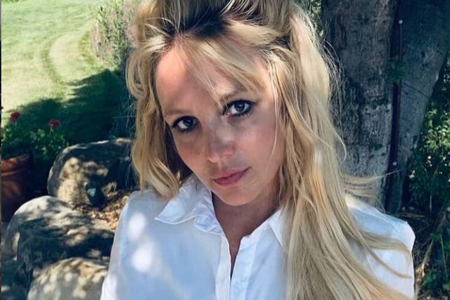 <p>Britney Spears has shared several topless selfies on Instagram, sparking concern or confusion among some of her fans</p>