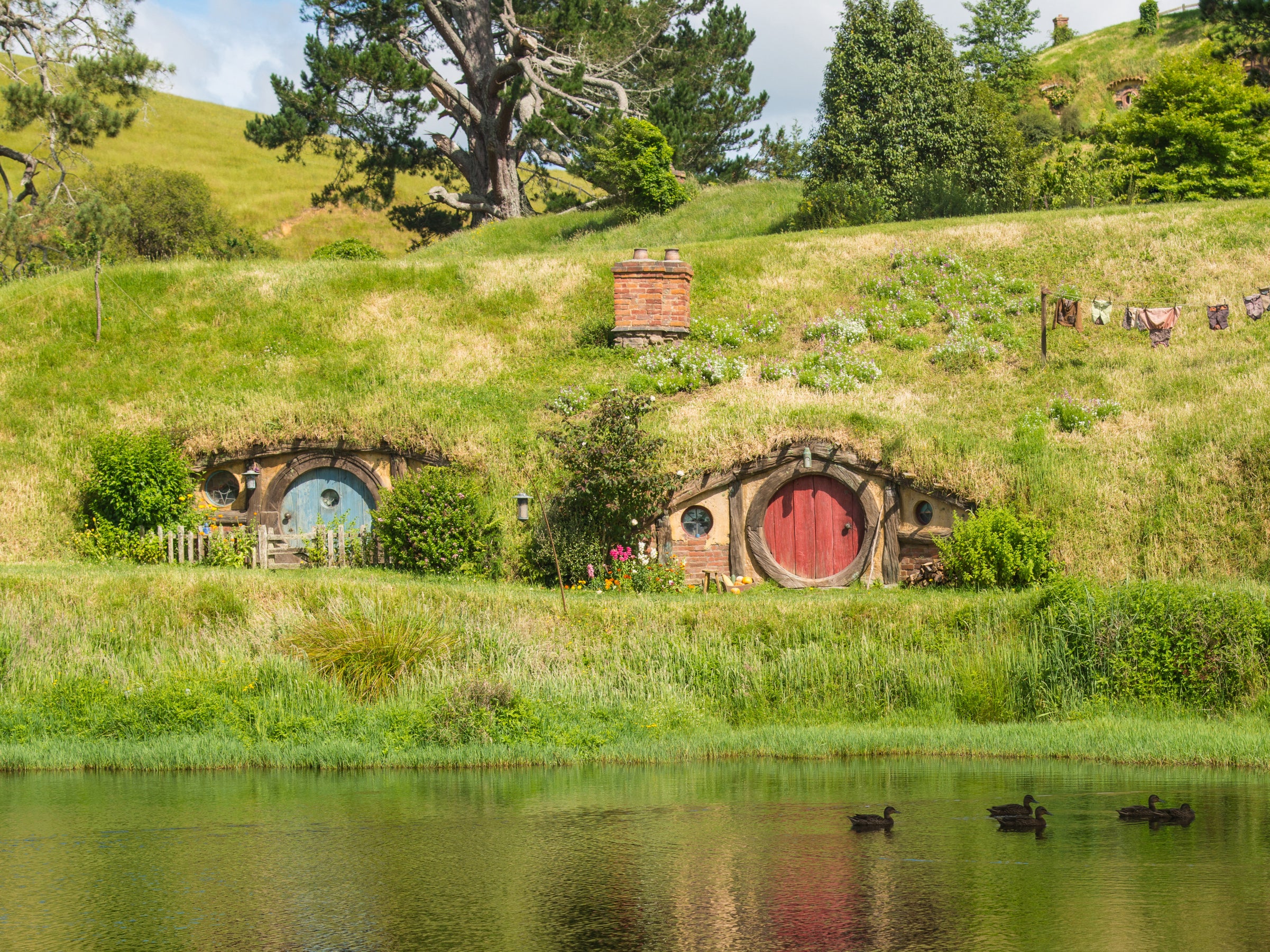 The animal probably didn’t live in hobbit holes like these at a filmset in New Zealand