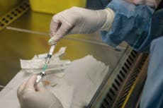 mRNA cancer therapy now in human trials after shrinking mouse tumours