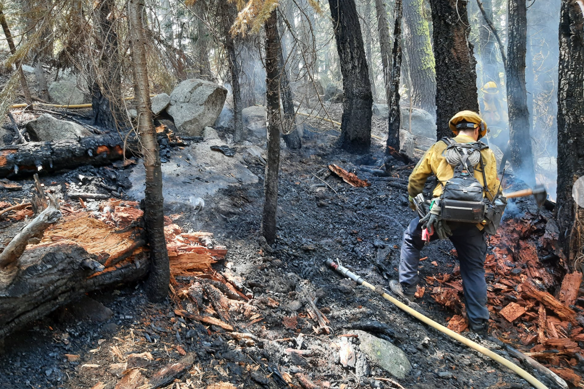 Bikini-clad woman accused of starting fire near Lake Tahoe in ...