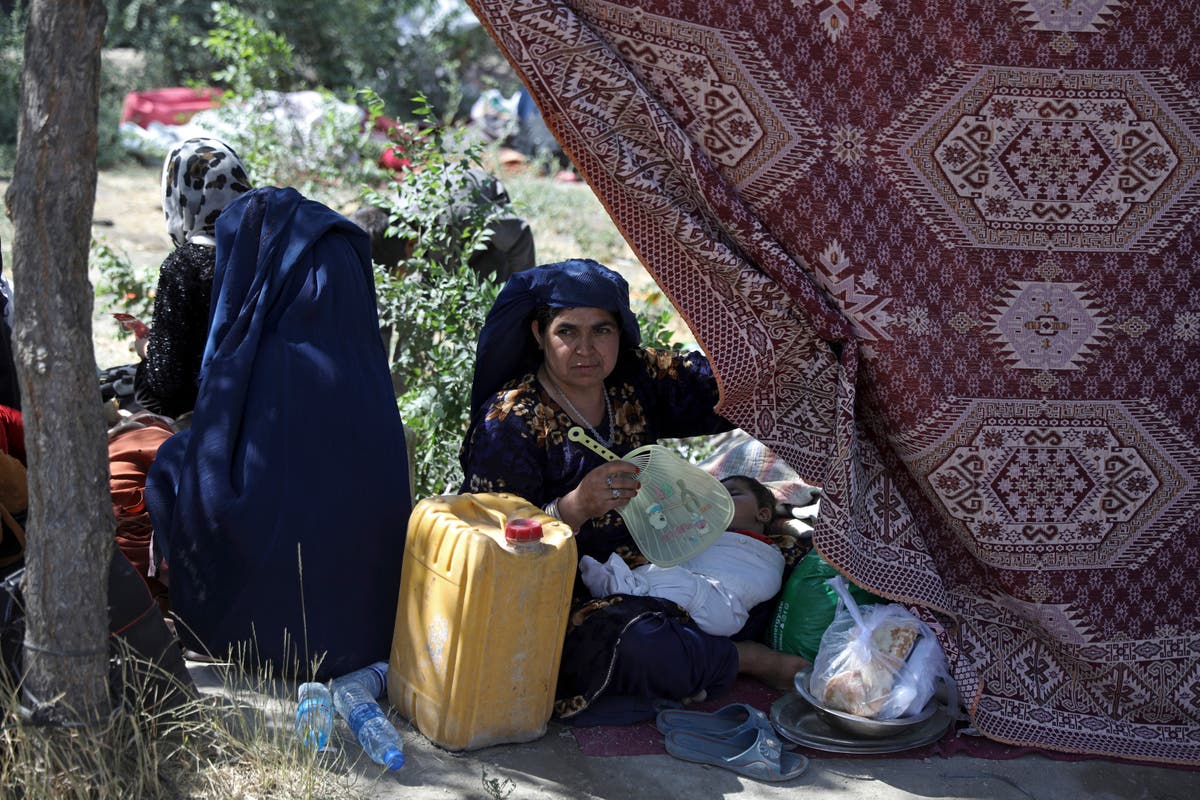 Politicians weaponise violence against Afghan women and girls to ‘legitimise racism’