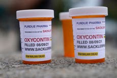Ex-head of Purdue Pharma denies responsibility for opioid crisis 