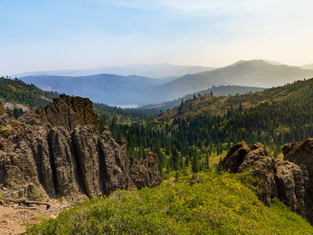<p>An area of the Sierra Nevada National Forest</p>