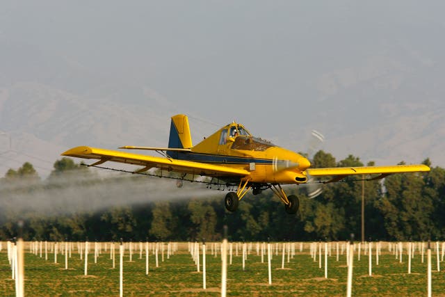 <p>A crop duster in action. The Environmental Protection Agency has banned the use of chlorpyrifos on food crops after the pesticide was linked to neurological harm in children</p>