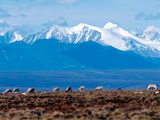 ‘We don’t care how they do it in the Lower 48’: The rural Alaskan men refusing the vaccine