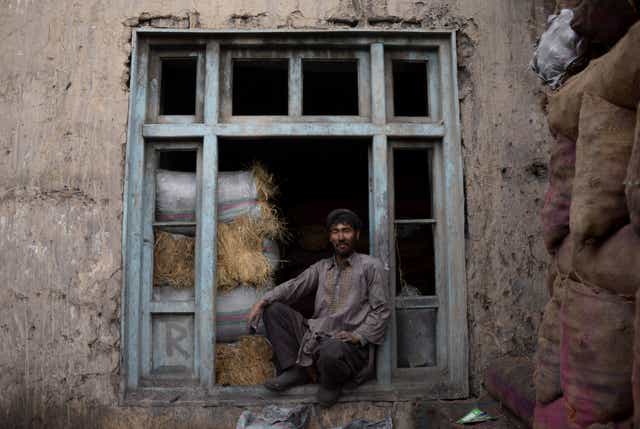 <p>File image: Despite the enormous reserves, Afghanistan has not been able to tap into the potential so far and continues to rely on foreign aid  </p>