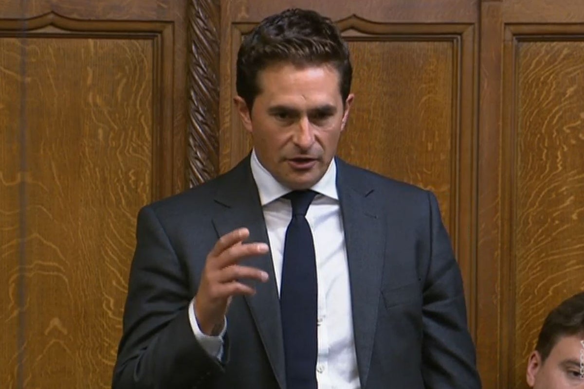 Former minister says being in Conservative Party is ‘like working for a ...