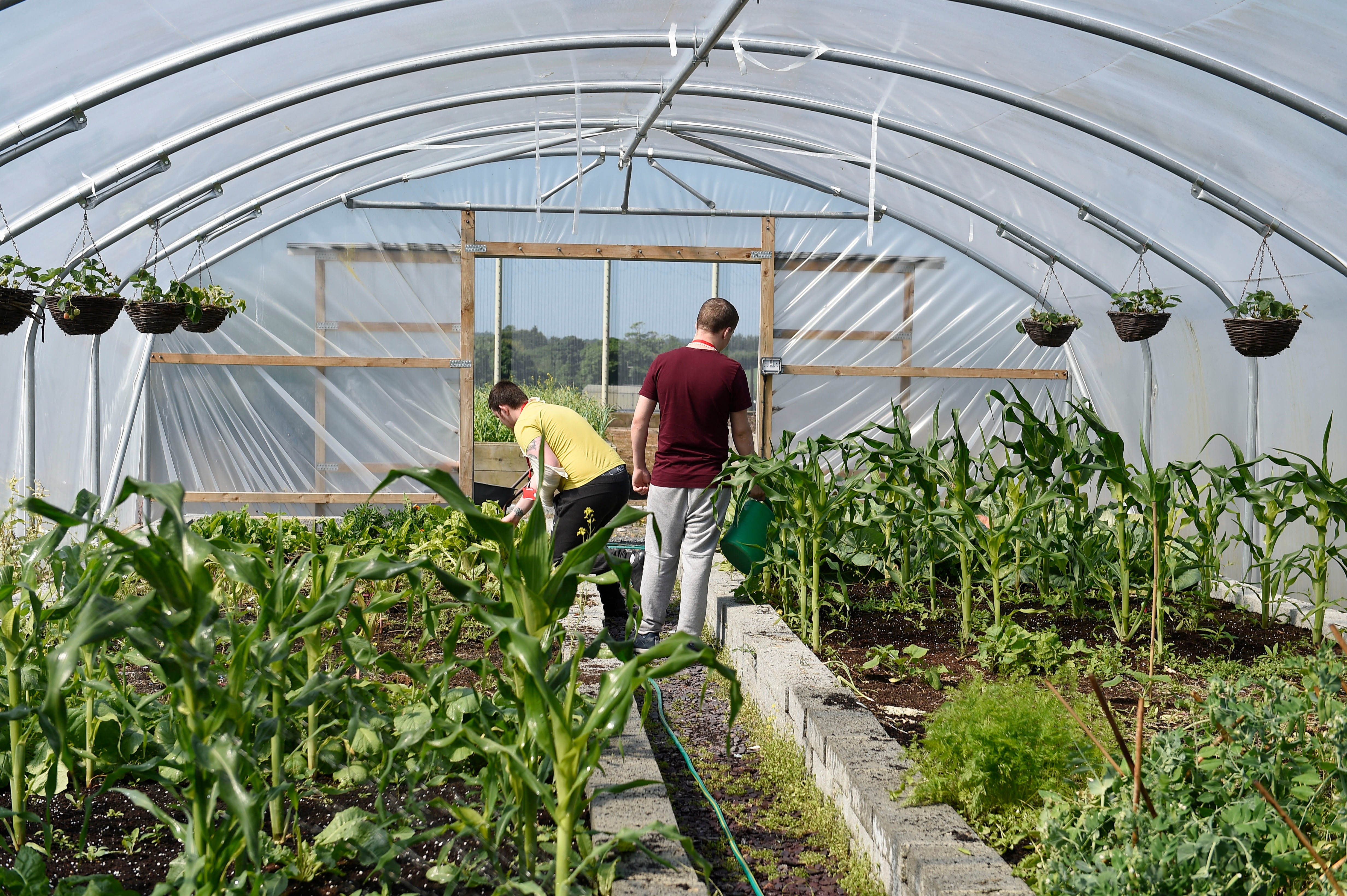 Students have won agricultural awards and one went on to work as a gardener on Game of Thrones