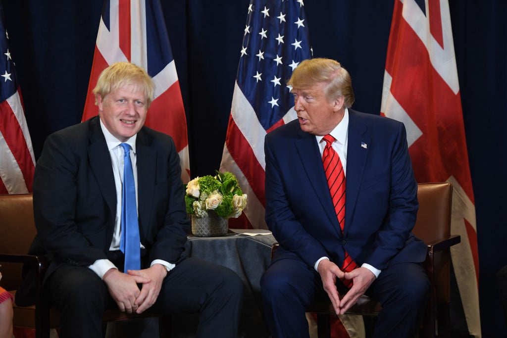 Trump and Boris Johnson spent meeting chatting about gallbladders and space, former aide says