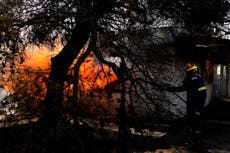 Greece wildfires: Another blaze breaks out on Evia island