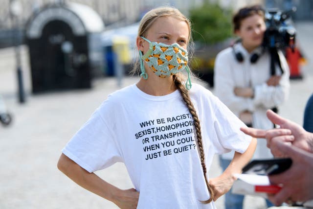 <p>Greta Thunberg told reporters that the climate crisis is ‘even more urgent than ever’ </p>