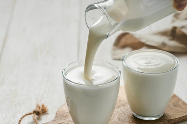 <p>Lamentable lactose: but life has to be easy for it to be sustainable in every sense</p>