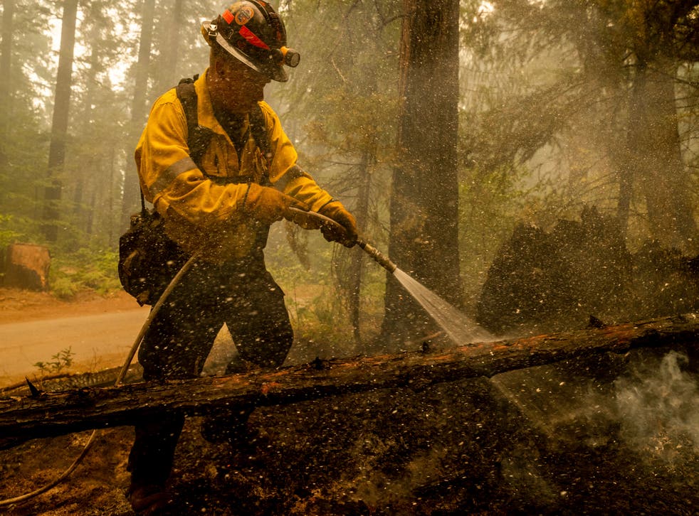 EEUU INCENDIOS FORESTALES