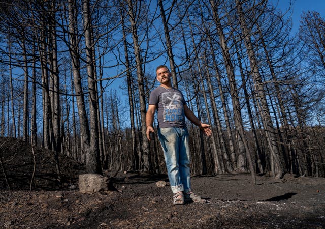 <p>Giorgios stands by the charred remains of his pine trees on Evia island, Greece</p>
