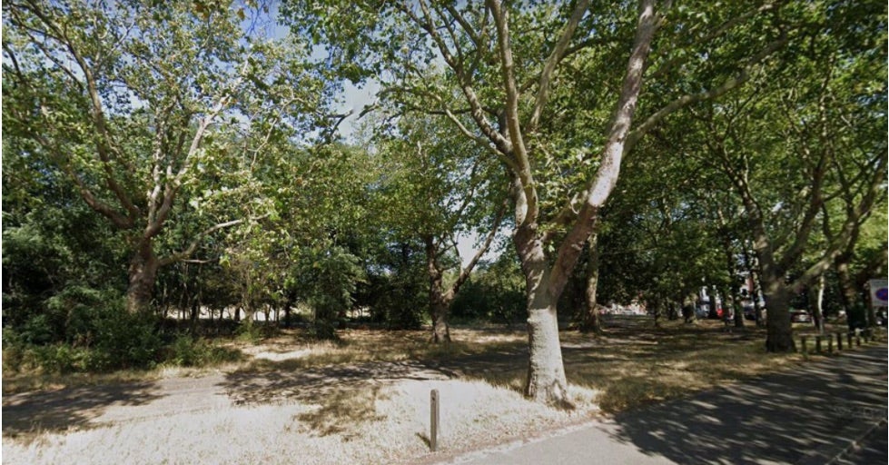 The assault took place at around midnight on Wednesday, June 30 in a wooded area of Clapham Common