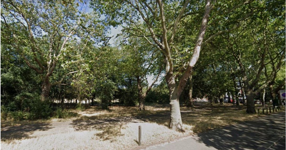 Police appeal after man in his 30s raped in south London park