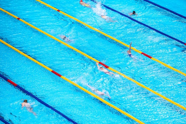 <p>The Paralympic swimming codes are decided by a combination of stroke and impairment classification  </p>