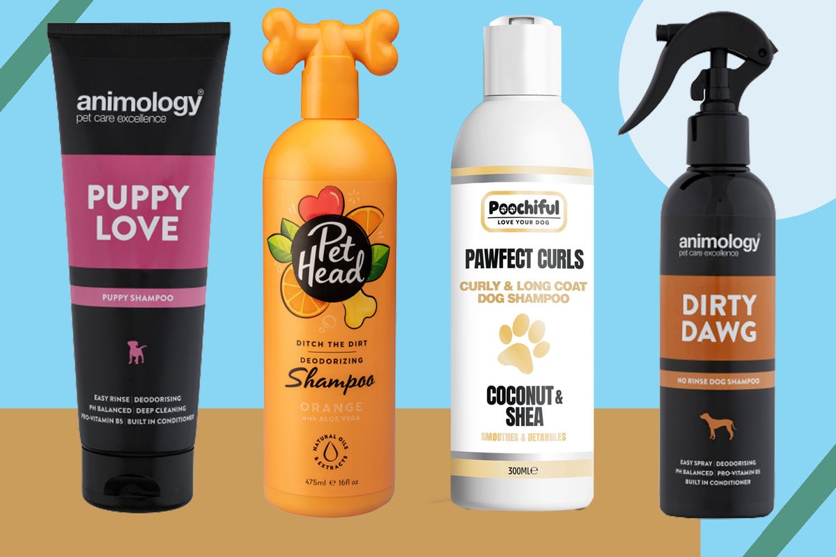 Safe For Using Head And Shoulders On Dog Best Dog Shampoo 2021