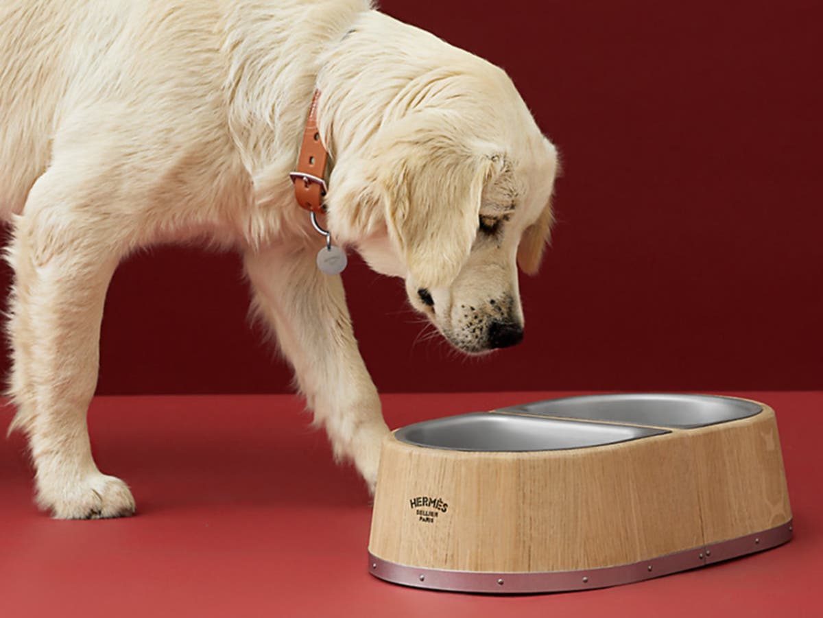 Hermès wants you to spend £960 on its first ever dog bowl The Independent