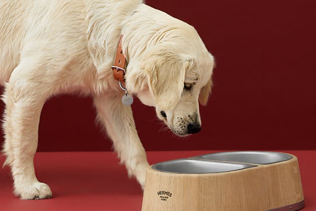 <p>Hermès dog bowl</p>