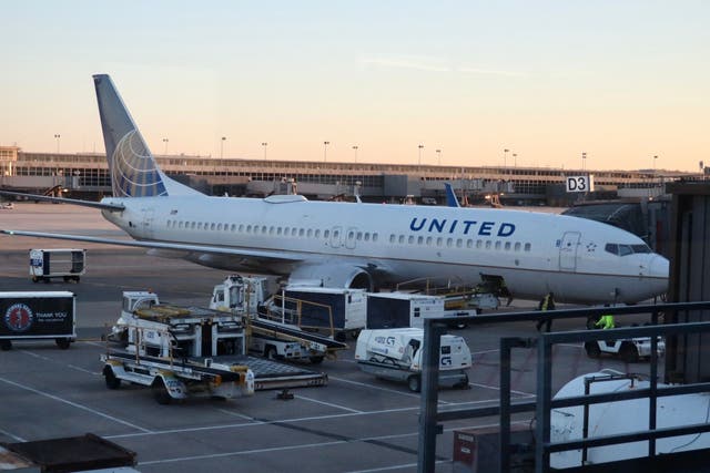 <p>A United Airlines plane at the gates of Dulles International Airport in Washington, DC </p>