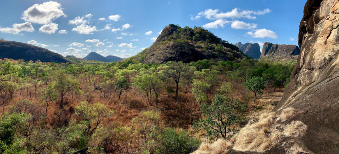 Niassa Reserve covers over 42,000 sq km and is the largest protected area in Mozambique.