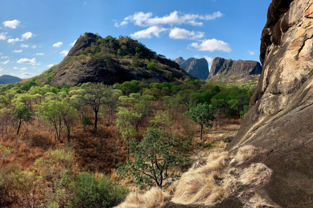 <p><em>Niassa Reserve covers over 42,000 sq km and is the largest protected area in Mozambique.</em></p>
