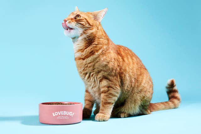 <p>Catfood Lovebug is from larvae farmed and fed on food waste </p>