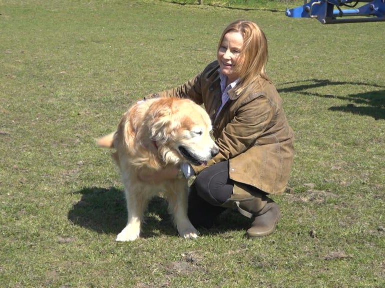 Denise Saber and one of her two golden retrievers for which she wanted to create a diet with ‘life-extending benefits’