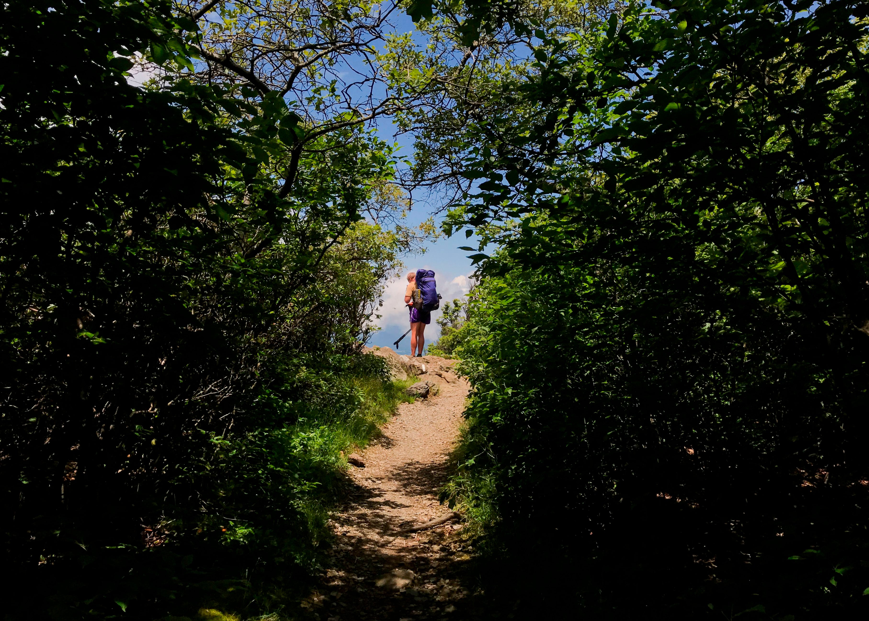 The Appalachian Trail stretches from Springer Mountain, Georgia, to Mount Katahdin, Maine