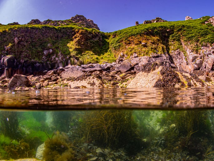 The waters around Lundy Island are impressively clear