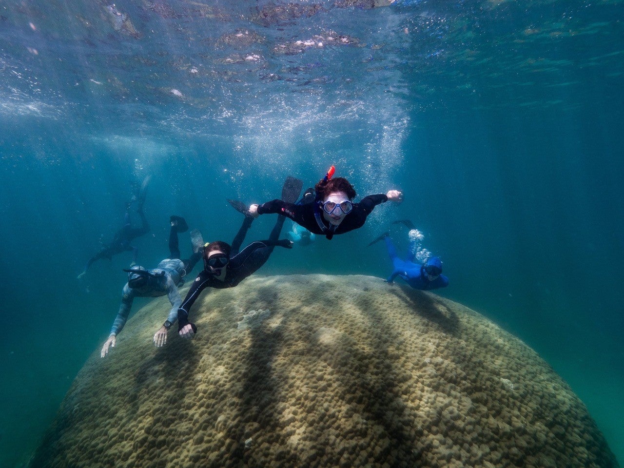 Scientists swimming over the top of the Porites coral at Goolboodi