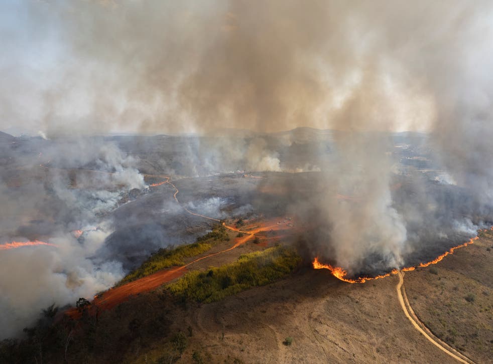 BRASIL-INCENDIO FORESTAL