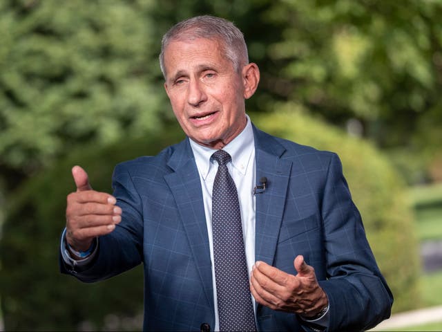 <p>Anthony Fauci, director of the US National Institute of Allergy and Infectious Diseases (NIAID) participates in a television interview at the White House in Washington, DC, USA, 18 August 2021</p>
