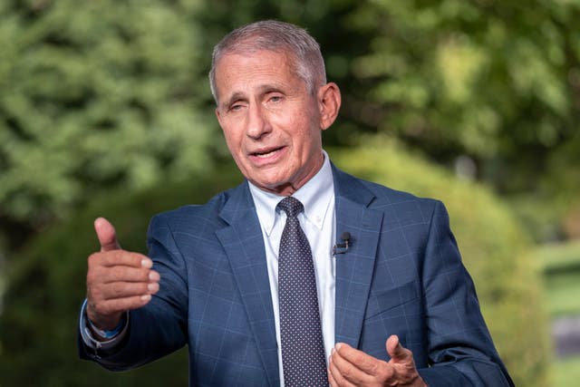 <p>Anthony Fauci, director of the US National Institute of Allergy and Infectious Diseases (NIAID) participates in a television interview at the White House in Washington, DC, USA, 18 August 2021</p>