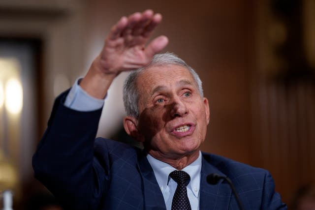 <p>File image: Fauci’s support comes after two Democrats pushed to make a vaccine certificate or Covid negative report mandatory for travel</p>