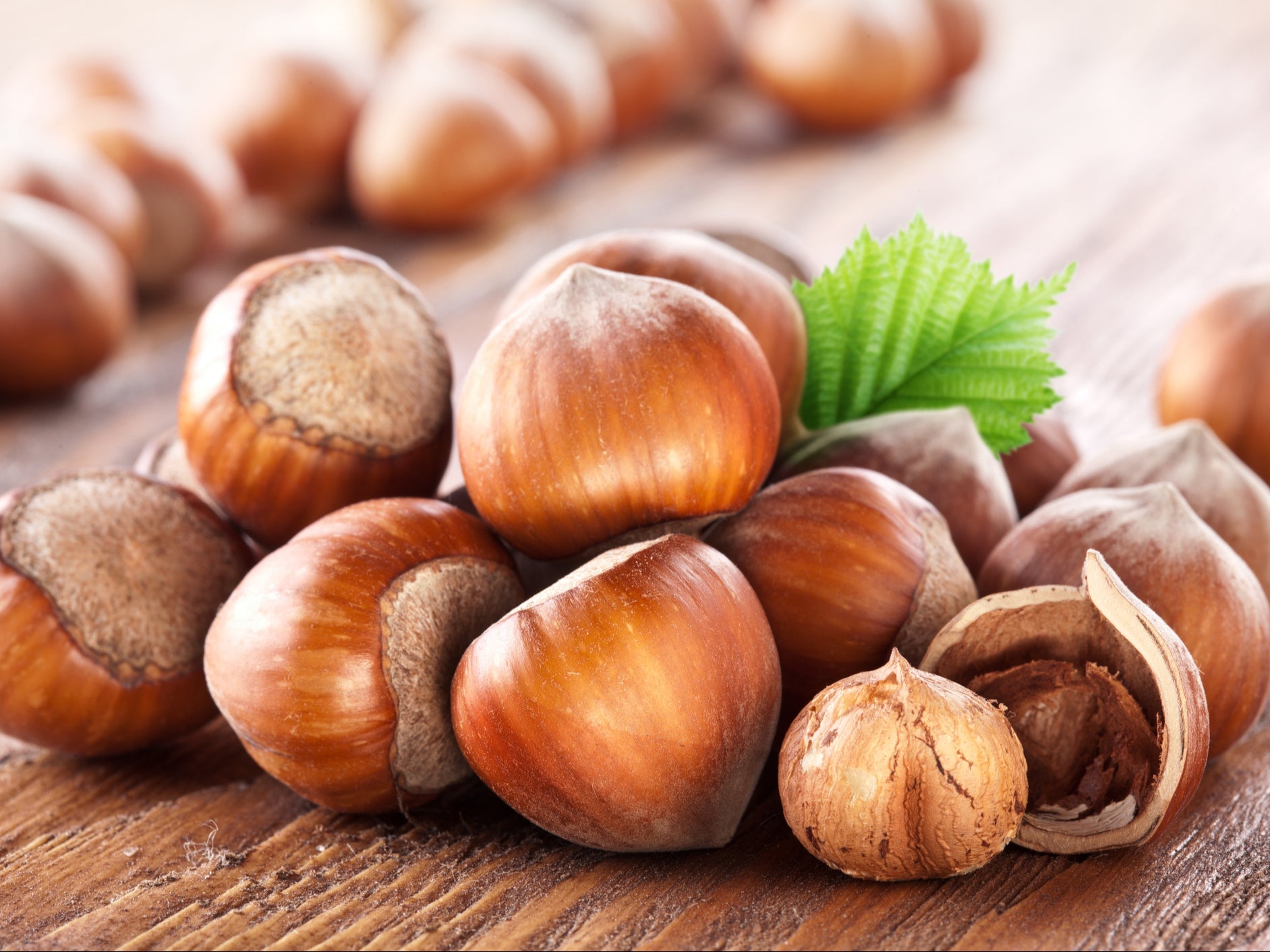 Could hazelnuts provide us with new low-carbon biofuels?