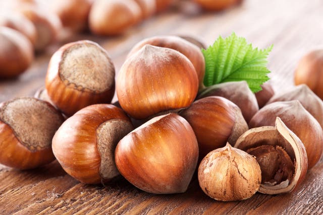 <p>Could hazelnuts provide us with new low-carbon biofuels?</p>