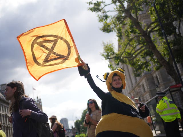 <p>A demonstrator dressed as bee during a protest by members of Extinction Rebellion on Whitehall, in central London on 24 August 2021</p>