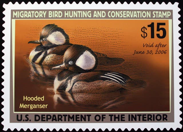 Duck Stamp-Hunting Rule