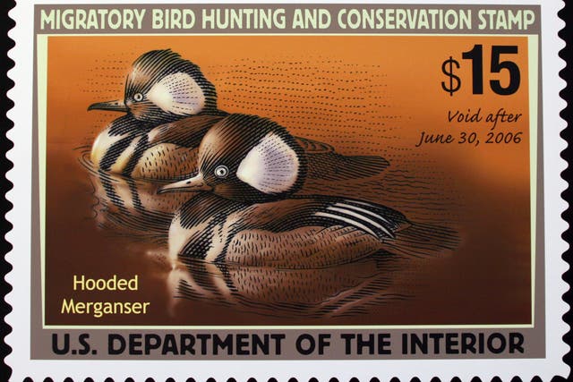 Duck Stamp-Hunting Rule