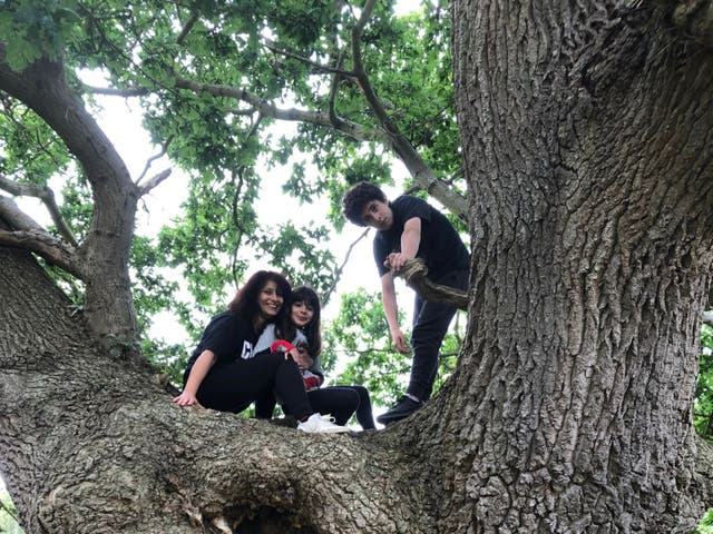 <p>‘We climbed a huge oak tree in Gallows Field – even my teenager looked up from his phone’ </p>