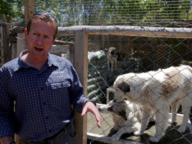 animal rescue - latest news, breaking stories and comment - The Independent