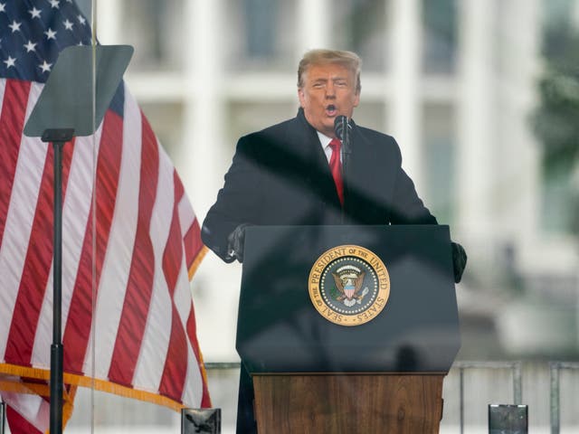 <p>Donald Trump giving a speech on 6 January </p>